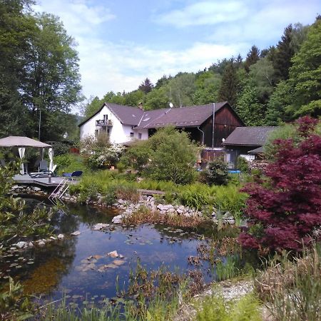 Urlaubspension Die Muehle Schollnach Экстерьер фото