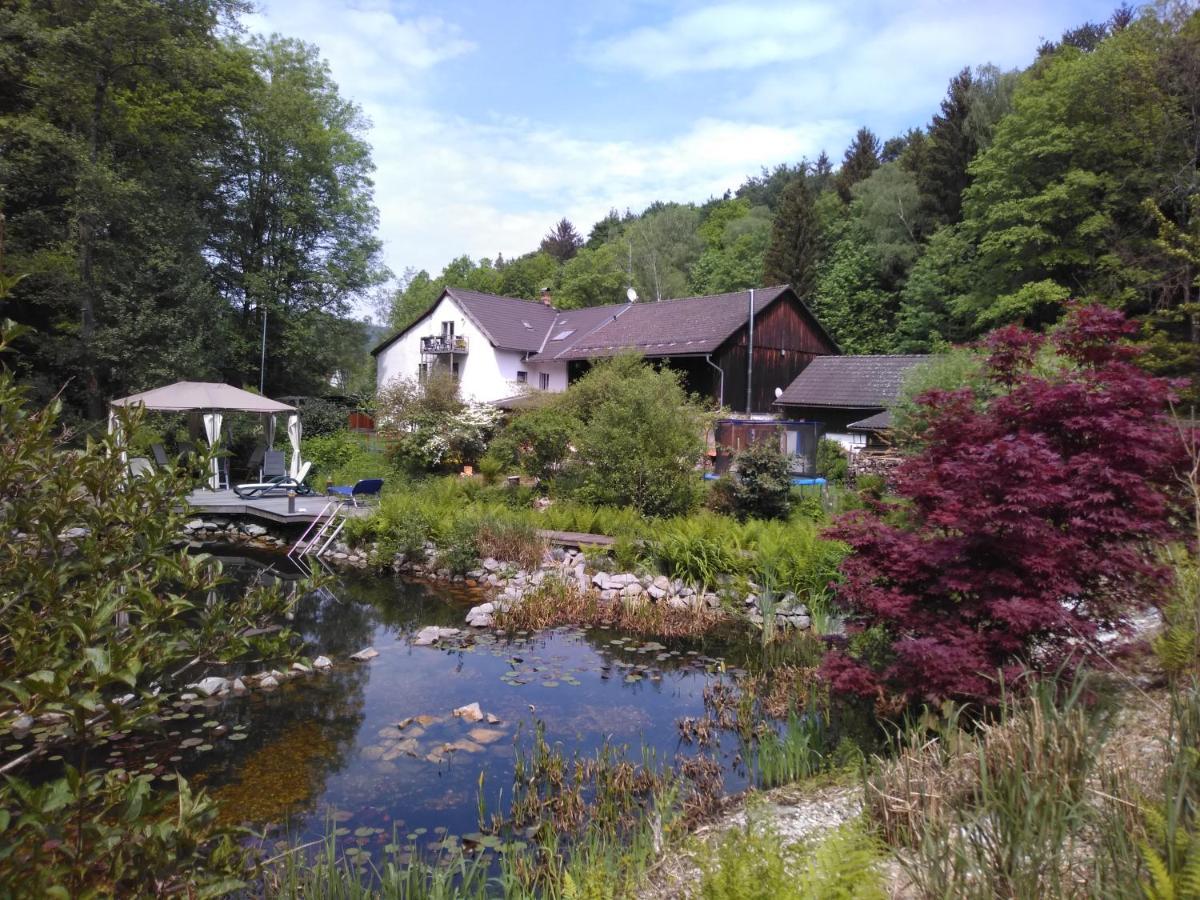 Urlaubspension Die Muehle Schollnach Экстерьер фото
