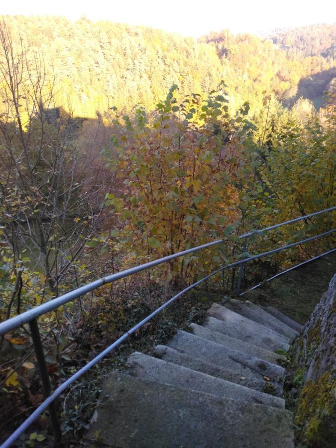 Urlaubspension Die Muehle Schollnach Экстерьер фото