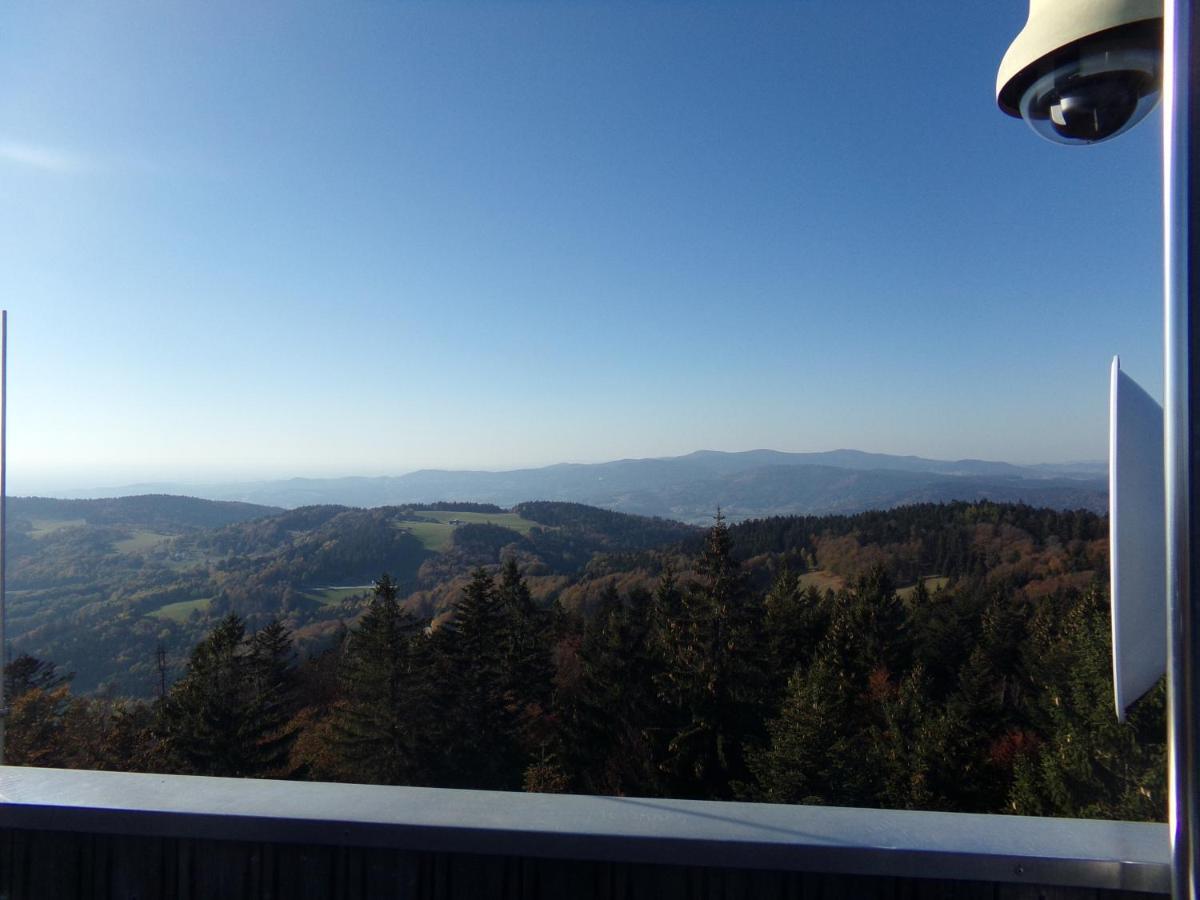 Urlaubspension Die Muehle Schollnach Экстерьер фото