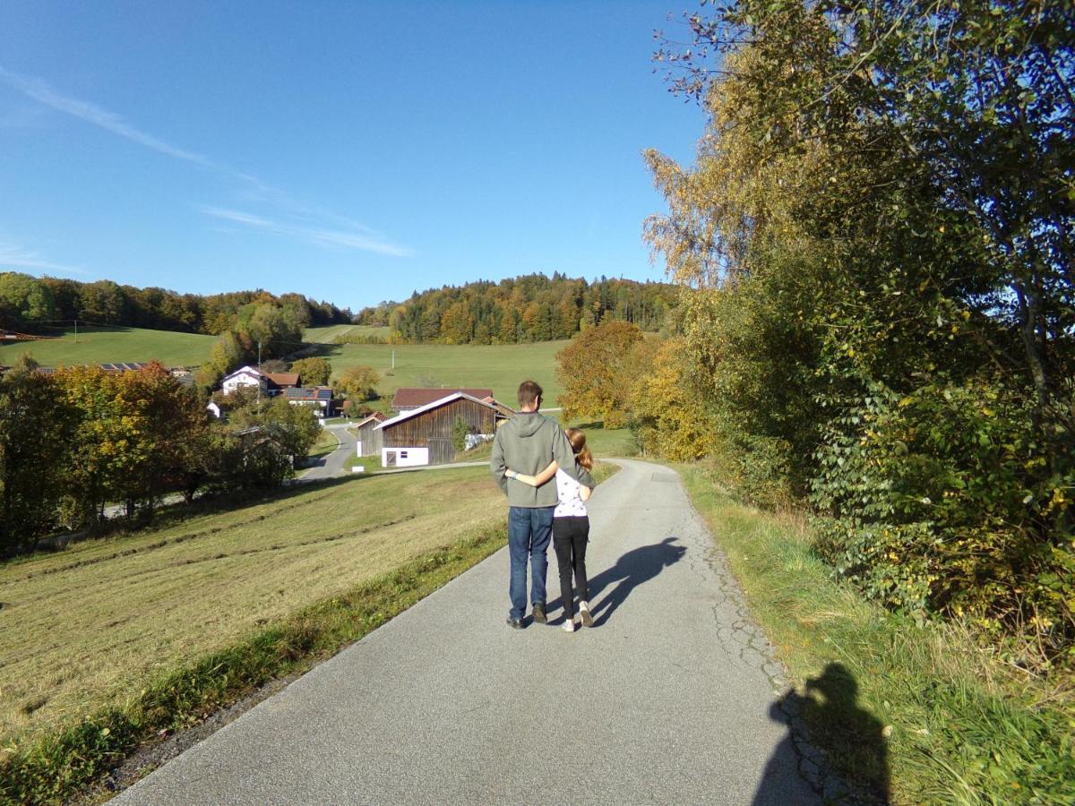 Urlaubspension Die Muehle Schollnach Экстерьер фото